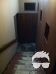 Помещение (66,5м.кв) в Центре, ул. Антоновича