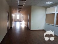 Аренда офисных площадей (100-300 кв.м) в БЦ на Академгородке