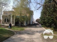 Сдам центральное помещение в Универмаге 1 -этаж, Новая Водолага.