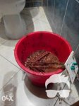 Ремонт,Чистка Бойлера БЕЗ ВЫХОДНЫХ